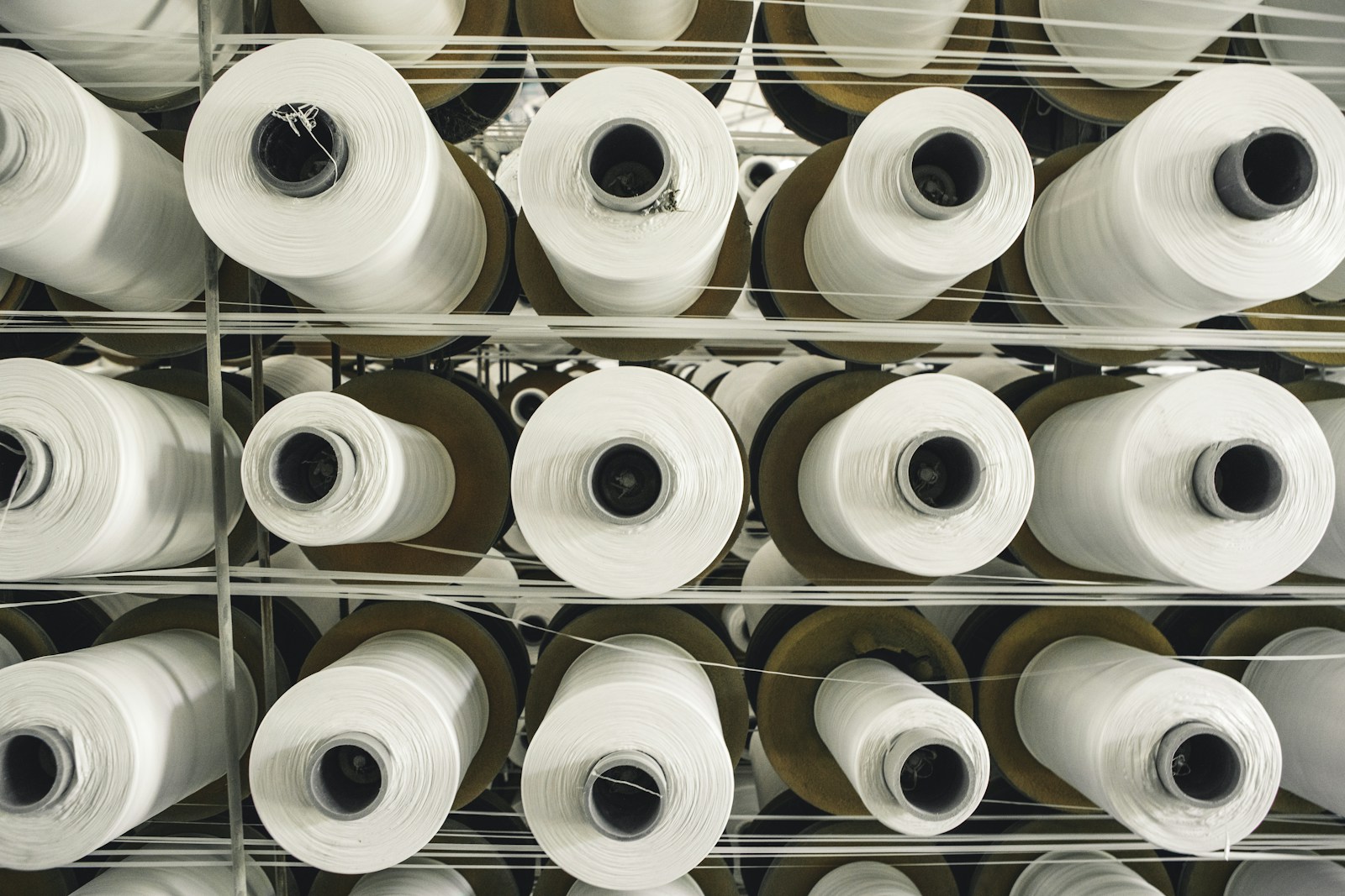Photo by Kevin Limbri a rack of rolls of white paper in a store